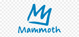 Snow Icon