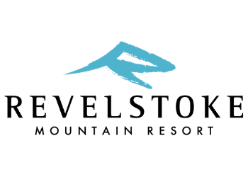 Snow Icon